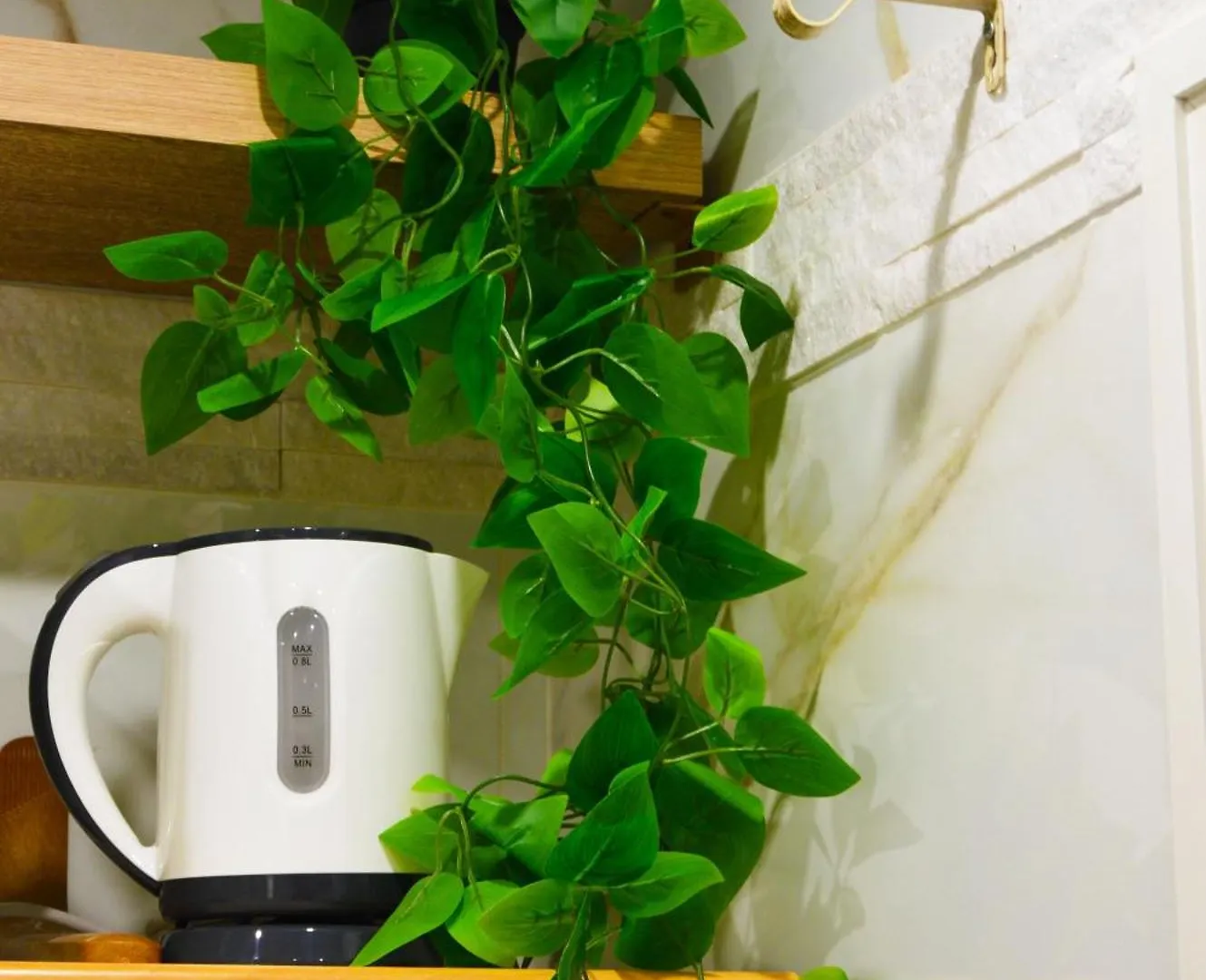Domus Zeus Apartment Bari